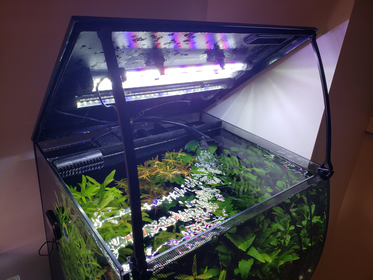 Clip-on Lid Arms for Fluval Flex -Black