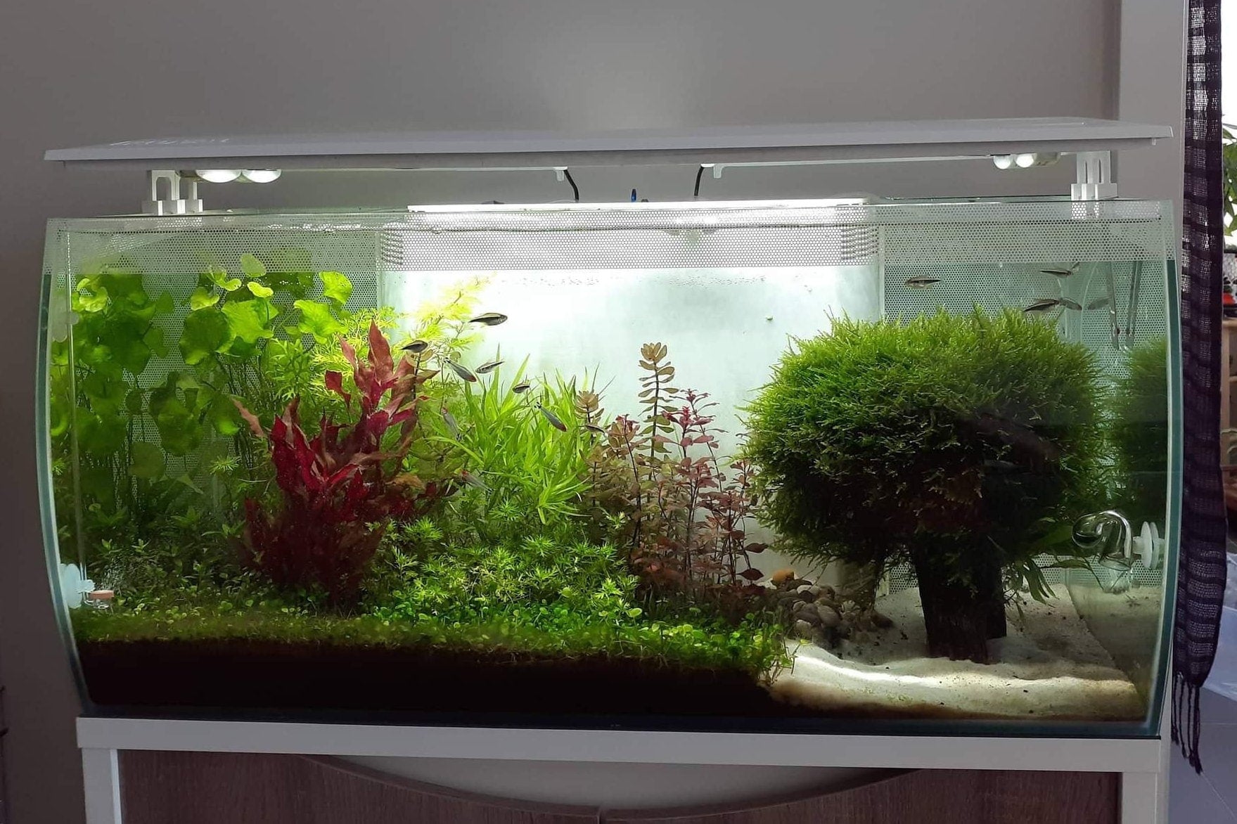  Lid Risers for Fluval Flex 32.5G