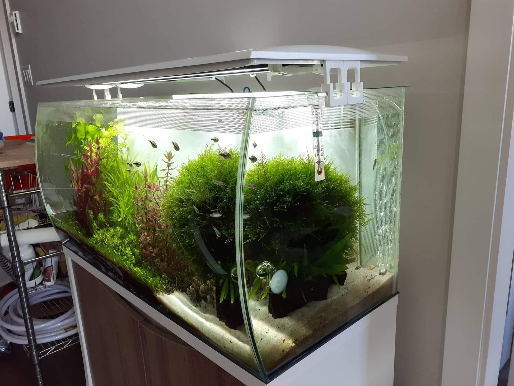  Lid Risers for Fluval Flex 32.5G